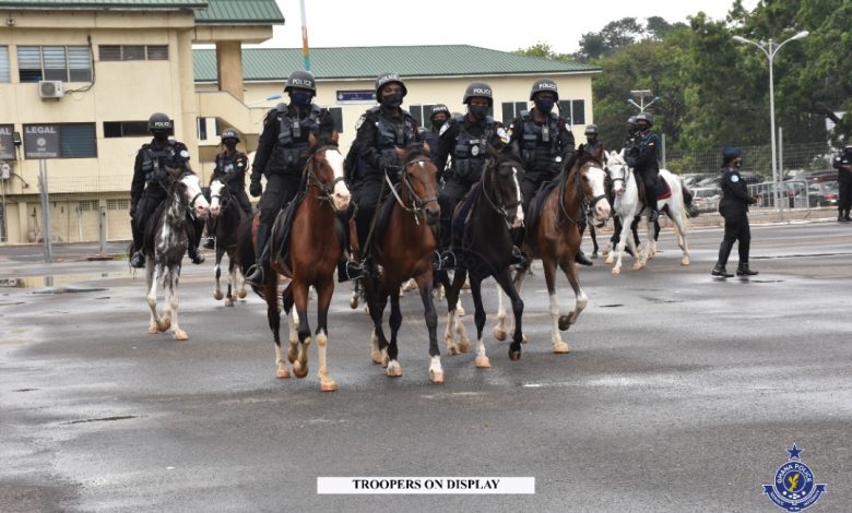 Police Horse patrol 5
