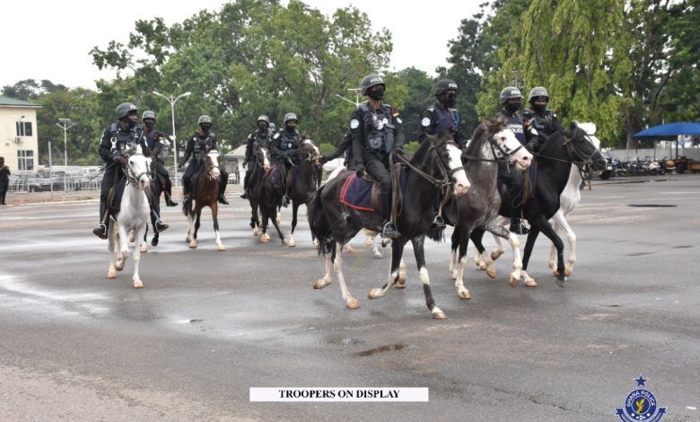 Police Horse patrol 7