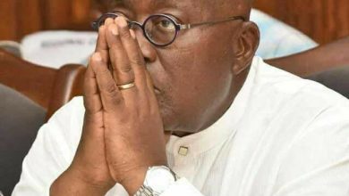 WhatsApp Image 2024 03 07 at 16.07.37