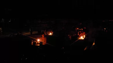 WhatsApp Image 2024 03 11 at 15.51.35 jpeg