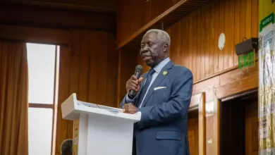 Senior Presidential Advisor, Yaw Osafo-Maafo