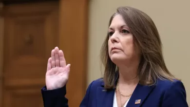 US Secret Service Director Kimberly Cheatle told lawmakers earlier this week that the Trump rally shooting was the agency's 'most significant failure' in decades