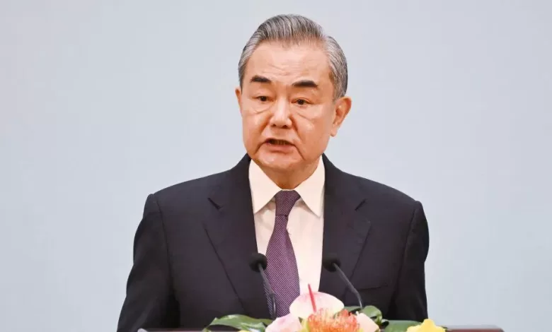 Mr Wang, seen here in a file photo, had made the comments in a call with the Netherlands' foreign minister
