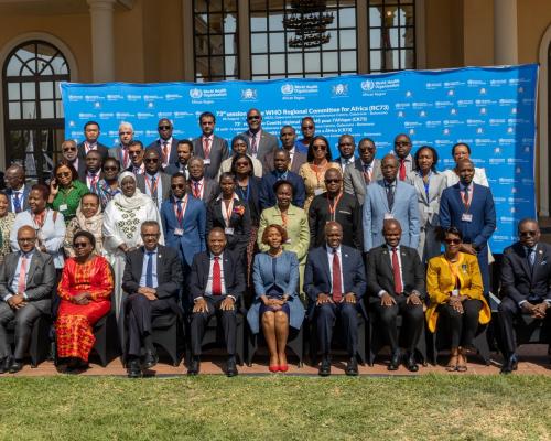 African Health Leaders at the session