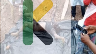 WhatsApp Image 2024 08 27 at 10.21.18