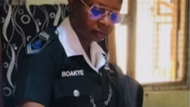 WhatsApp Image 2024 08 29 at 08.31.39