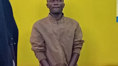 kenya 1