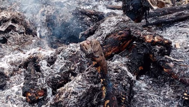 villagers burned alive