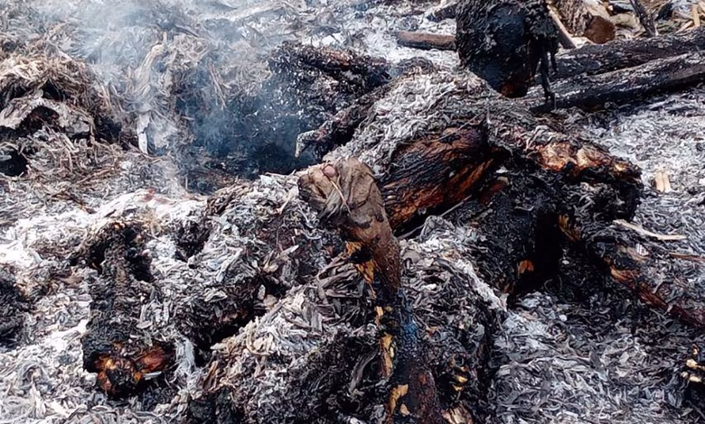 villagers burned alive