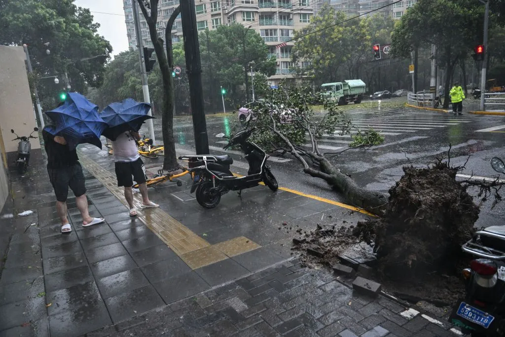 Shanghai's strongest storm in over 70 years has grounded flights and felled trees in the city