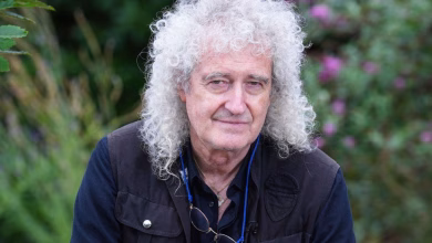 Queen Guitarist, Sir Brian