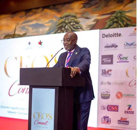 Yofi Grant, the Chief Executive Officer of the Ghana Investment Promotion Authority