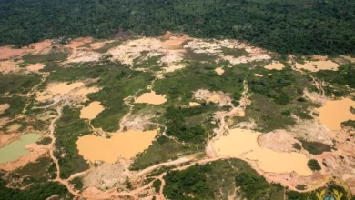 Ariel view of galamsey destroyed forest