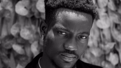 Artiste Kinjunia