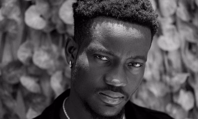 Artiste Kinjunia