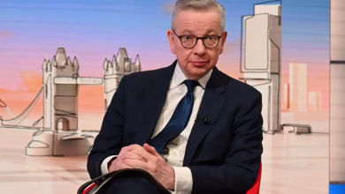 Former government minister, Michael Gove