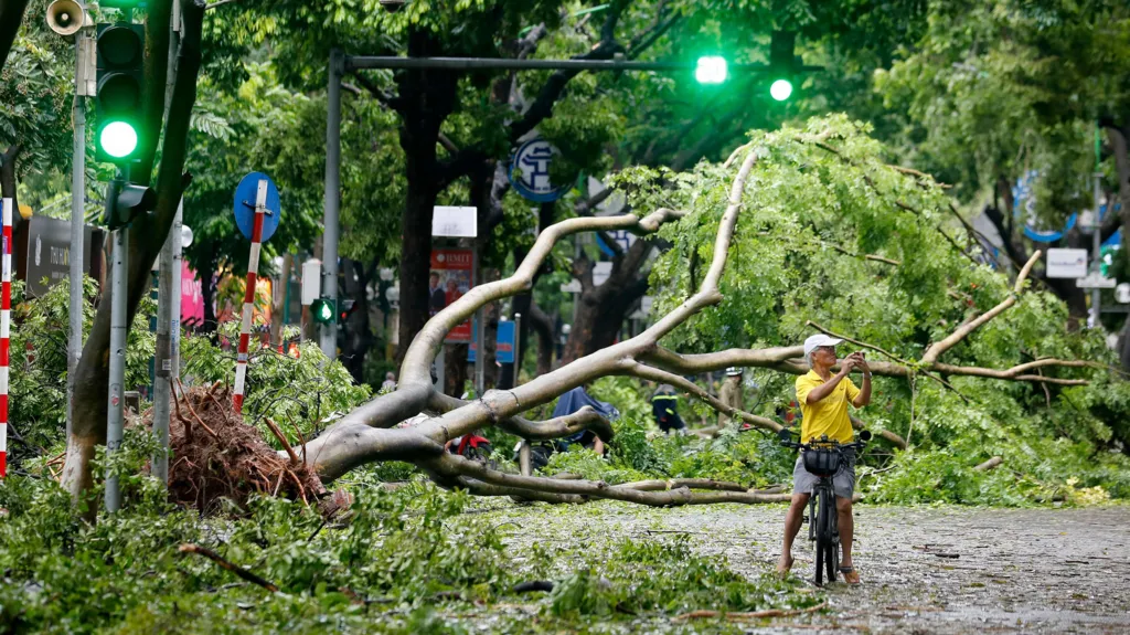 Fallen trees are seen across the streets in Hanoi