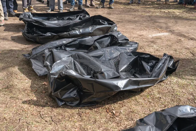 Body bags to convey the dead