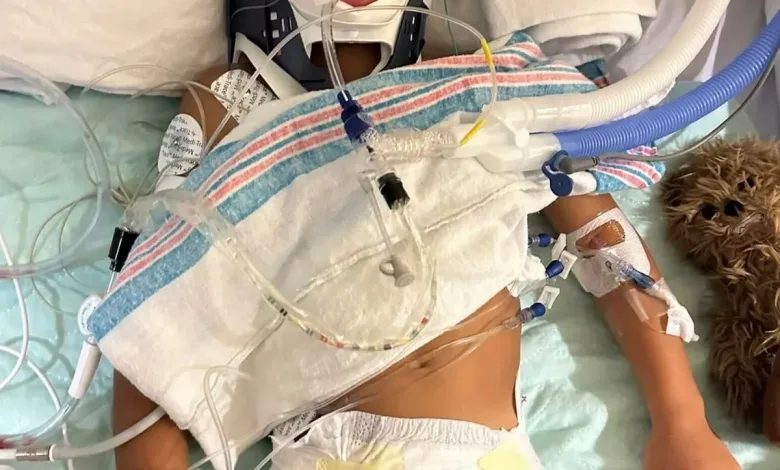 Ernesto Tagle, 5, stopped breathing around 20 seconds after getting onto the Guardians of the Galaxy: Cosmic Rewind ride