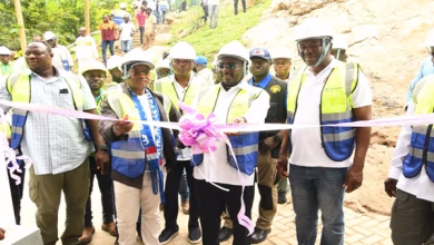 Bawumia Commissioning phase II of Tsatsadu Micro-Hydropower Plant