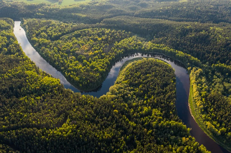 Biodiversity credits will be on the table for discussion at this month's UN biodiversity summit in Colombia