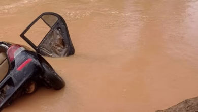 Owabi River
