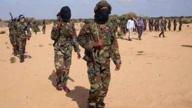 Somali Forces