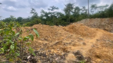 Mining Site