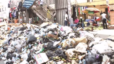 Sanitation Offences
