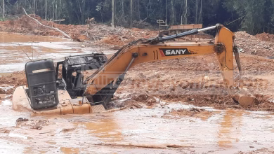 Excavator Seizure