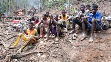 illegal miners arrested