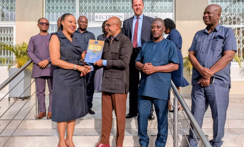 EU Experts Praise Ghana's 2024 Elections