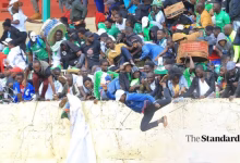 Fans Injured