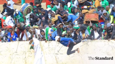 Fans Injured