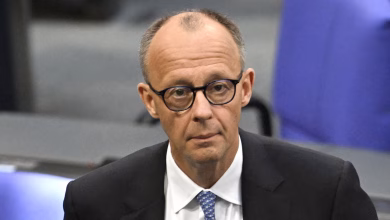 Friedrich Merz's