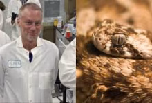 Tim Friede creates snake Antivenom