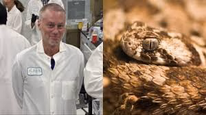 Tim Friede creates snake Antivenom