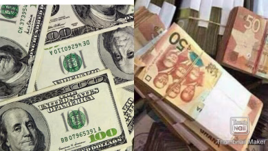 cedi appreciation