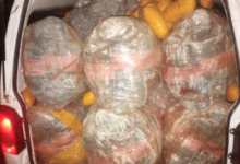 Vehicle Loaded with Marijuana