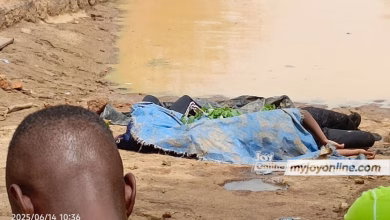 7 students dead