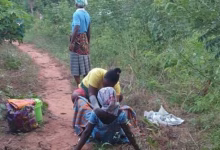 Midwife Delivers Baby on Farm