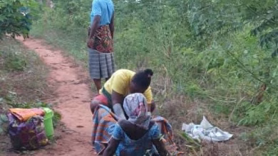 Midwife Delivers Baby on Farm