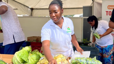 Channel One TV AgriFair 2025