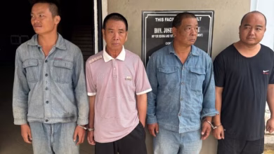 Four Chinese suspects arrested for illegal mining