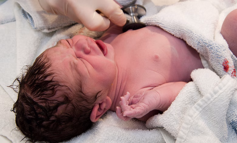 UK Newborn DNA Testing Plan