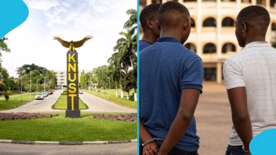 Student Jailed 10 Years for Robbery