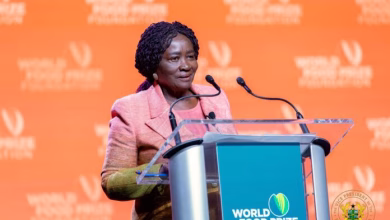 Vice President Prof. Naana Jane Opoku-Agyemang