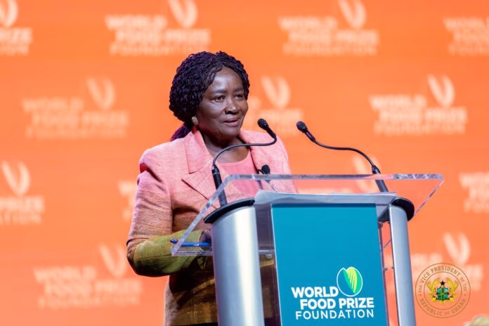 Vice President Prof. Naana Jane Opoku-Agyemang