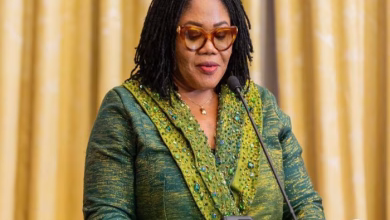 Minister for Gender, Children and Social Protection, Agnes Naa Momo Lartey