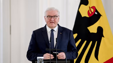 German President Frank-Walter Steinmeier